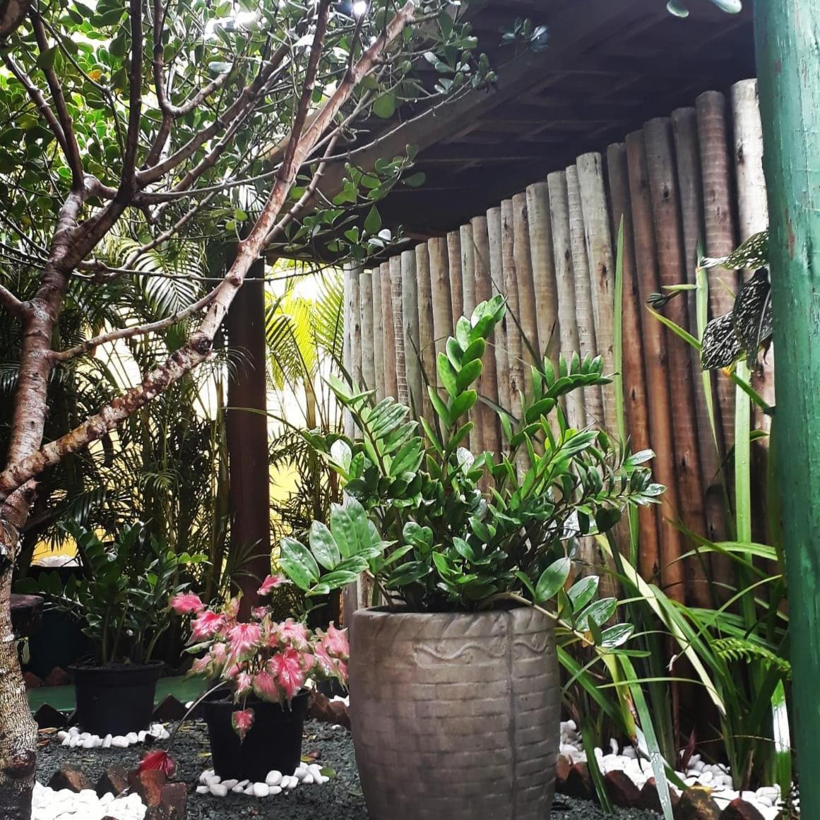 Pousada Corais Do Sul Caraíva Exteriör bild